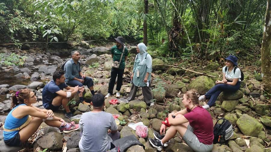 Lombok: Jungle Hike, Food Foraging, and Cooking Class - What Makes This Tour Stand Out?