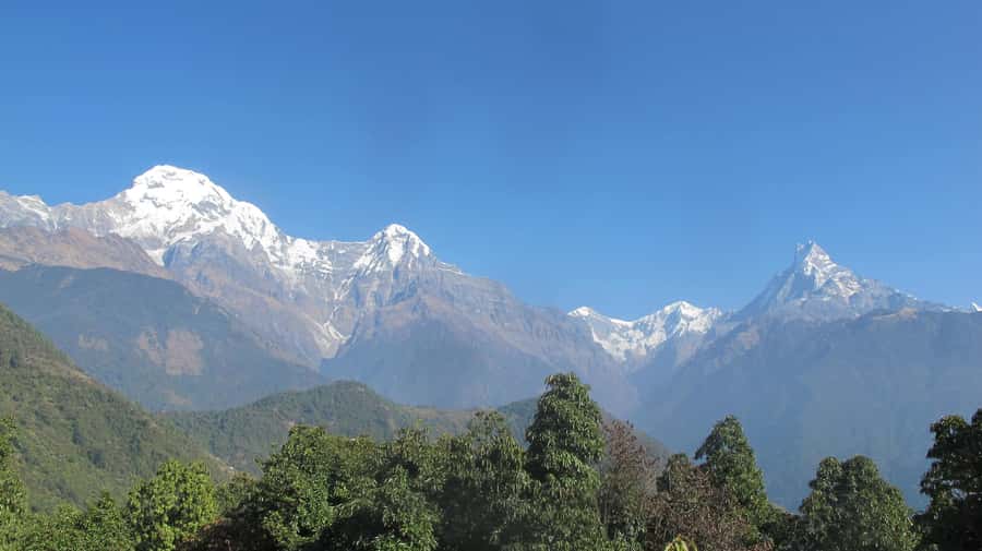Nepal: 10-Day Private Buddhist Circuit Tour - Who’s This Tour Best For?