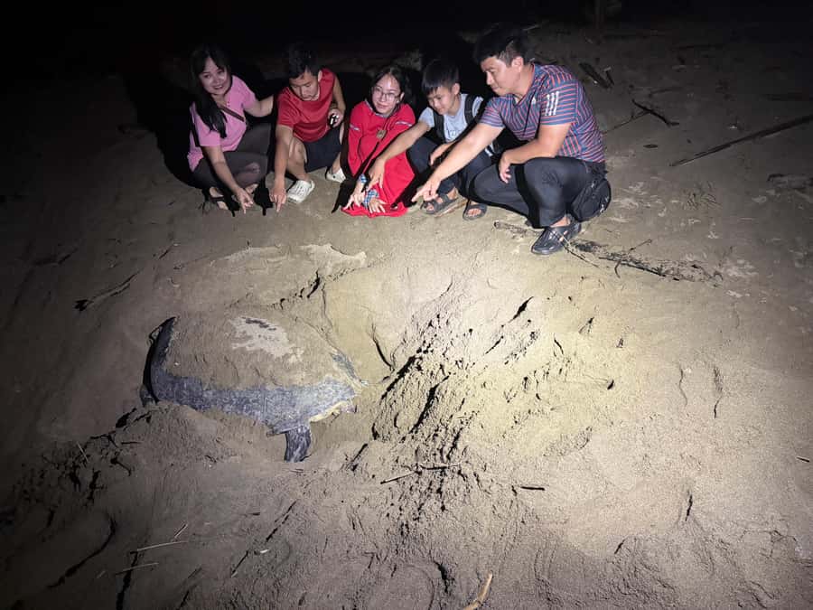 Sukamade: Turtle Expedition & MeruBetiri Jungle Adventure - Who Will Love This Tour?