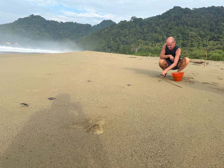 Sukamade: Turtle Expedition & MeruBetiri Jungle Adventure - Comprehensive Overview of the Tour