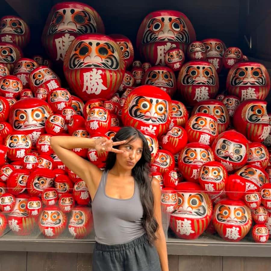 Tokyo City Highlight Private Tour Full Adjustable Itinerary - Good To Know