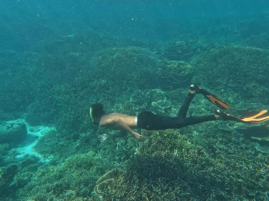 Bare Sea Liveaboard 2D1N on Standard Boat from Labuan Bajo - Frequently Asked Questions