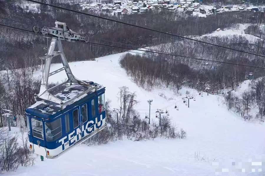 Sapporo: Otaru Day Trip-Mt. Tengu & Aquarium in small group - Price and Value