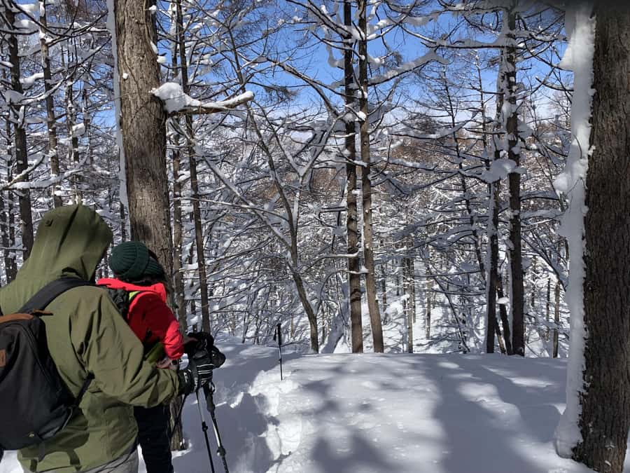 Nagano Iiyama : Snowshoe Hike a half-day, Nozawa, Madarao - What to Expect on the Trail