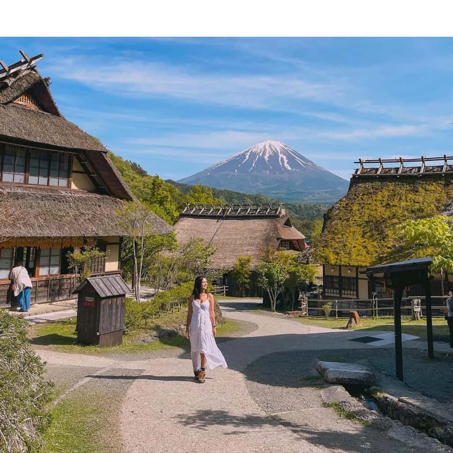 From Tokyo: Private Mount Fuji & Hakone Custom Day Tour - A Detailed Look at the From Tokyo: Private Mount Fuji & Hakone Custom Day Tour
