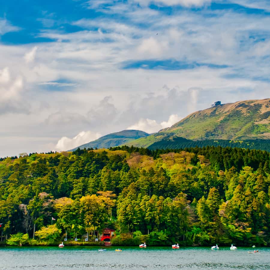 Tokyo: Hakone, Odawara Castle, Lake Ashi Cruise Private Tour - Good To Know