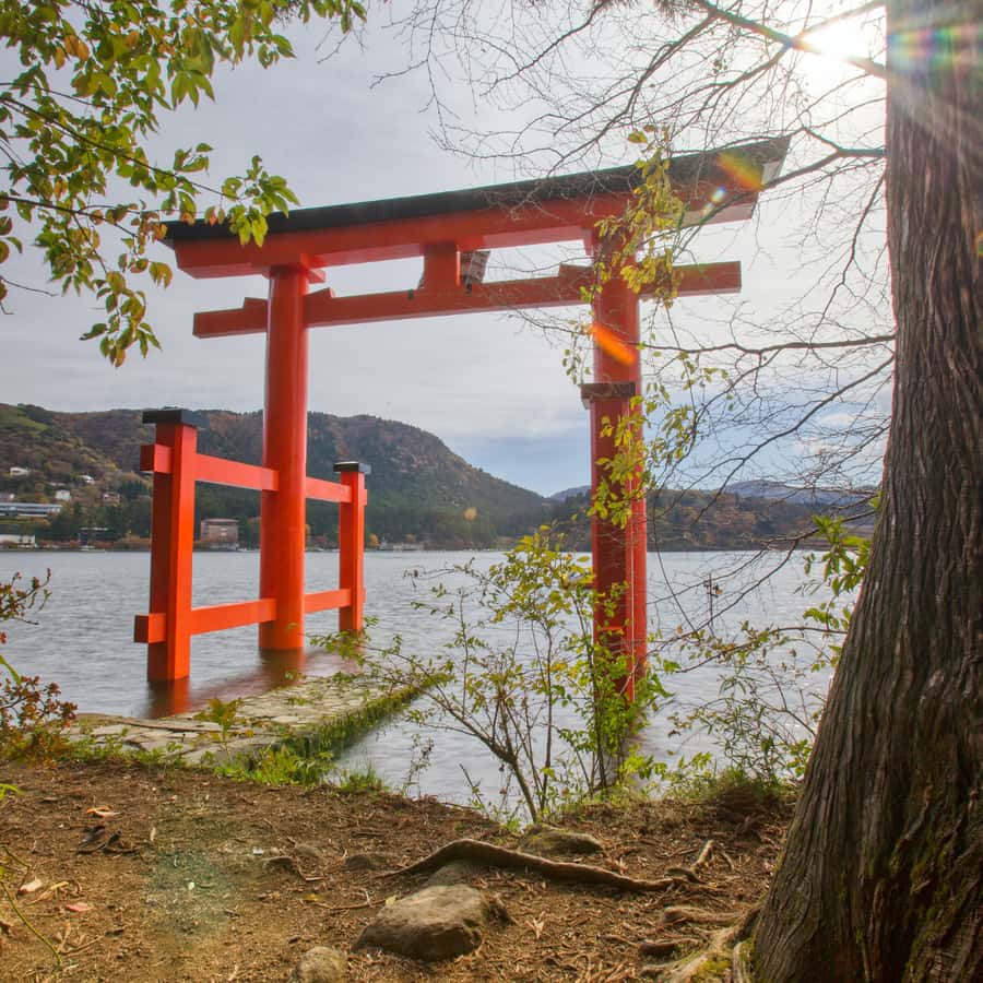 Tokyo: Hakone, Odawara Castle, Lake Ashi Cruise Private Tour - Owakudani Valley: Witnessing Volcanic Power