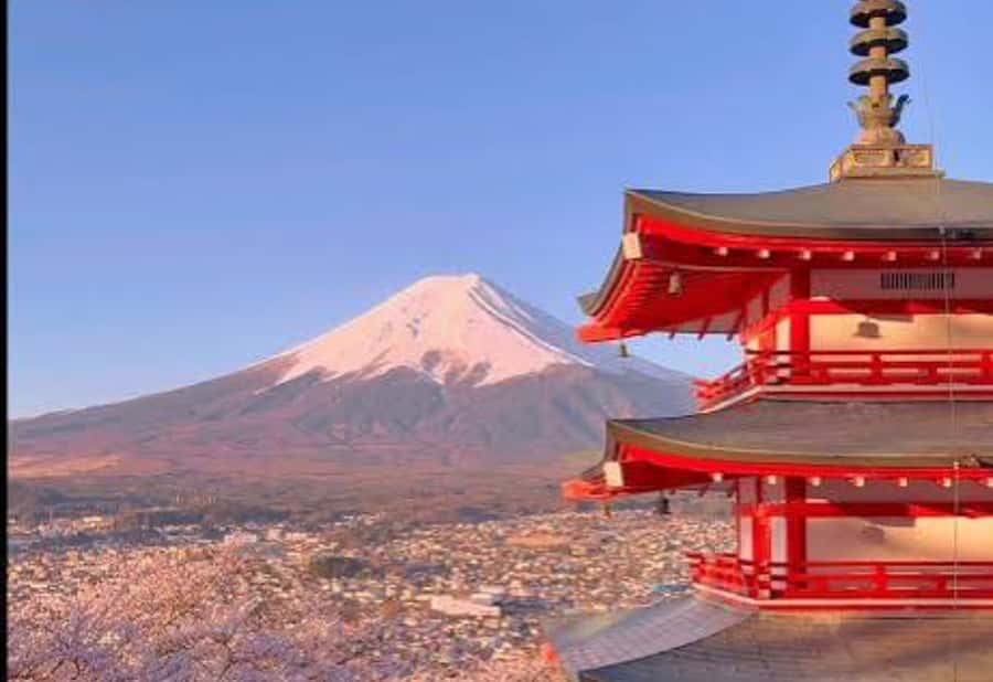 Tokyo: Mount Fuji Private Customized Tour With English Guide - Practical Considerations: Cost, Duration, & What to Bring