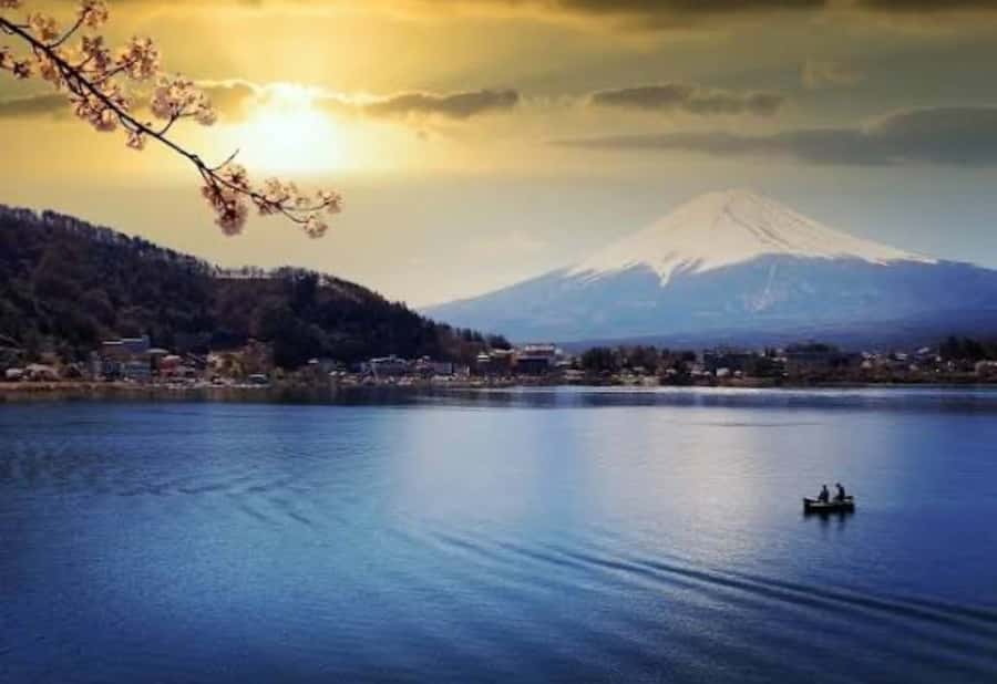 Tokyo: Mount Fuji Private Customized Tour With English Guide - What You Can Expect on This Tour