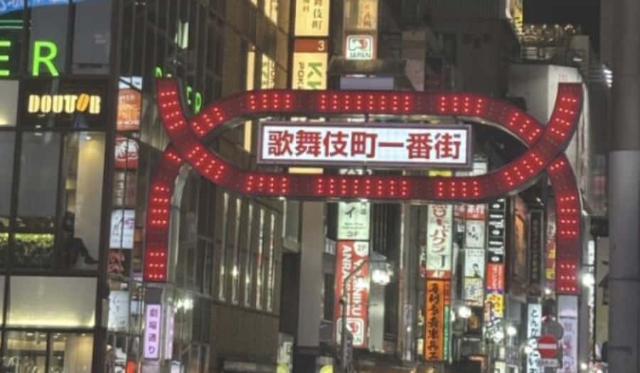 Tokyo: Kabukicho Neon Lights Guided Walking Tour - In-Depth Review: The Experience and Its Value