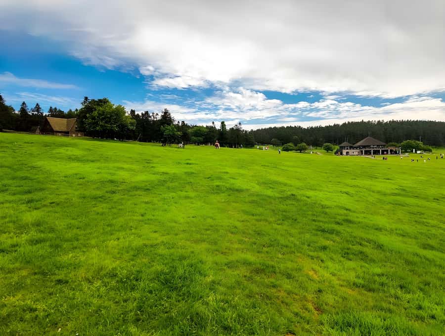 Chongqing: Fairy Mountain Forest Park Ticket - Practical Tips for Visiting Fairy Mountain