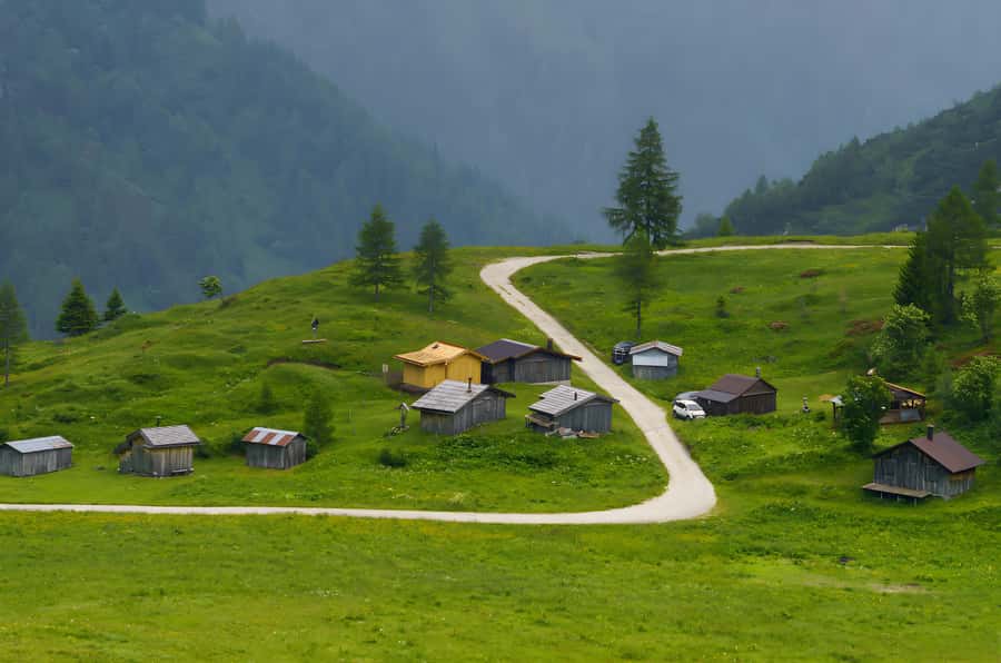 Chongqing: Fairy Mountain Forest Park Ticket - Exploring Fairy Mountain: Nature’s Art in China