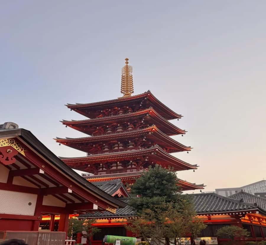 Shimizu: Tokyo Private Day Trip with Guide - Good To Know