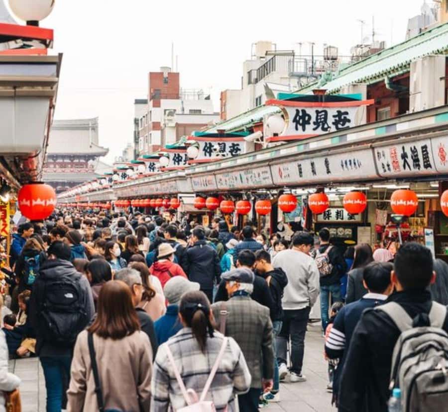 Shimizu: Tokyo Private Day Trip with Guide - Transportation, Price, and Duration