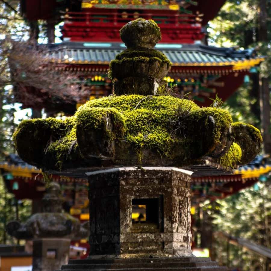 Tokyo: Nikko Beautiful Full Day Personal And Private Tour - Why This Tour Stands Out