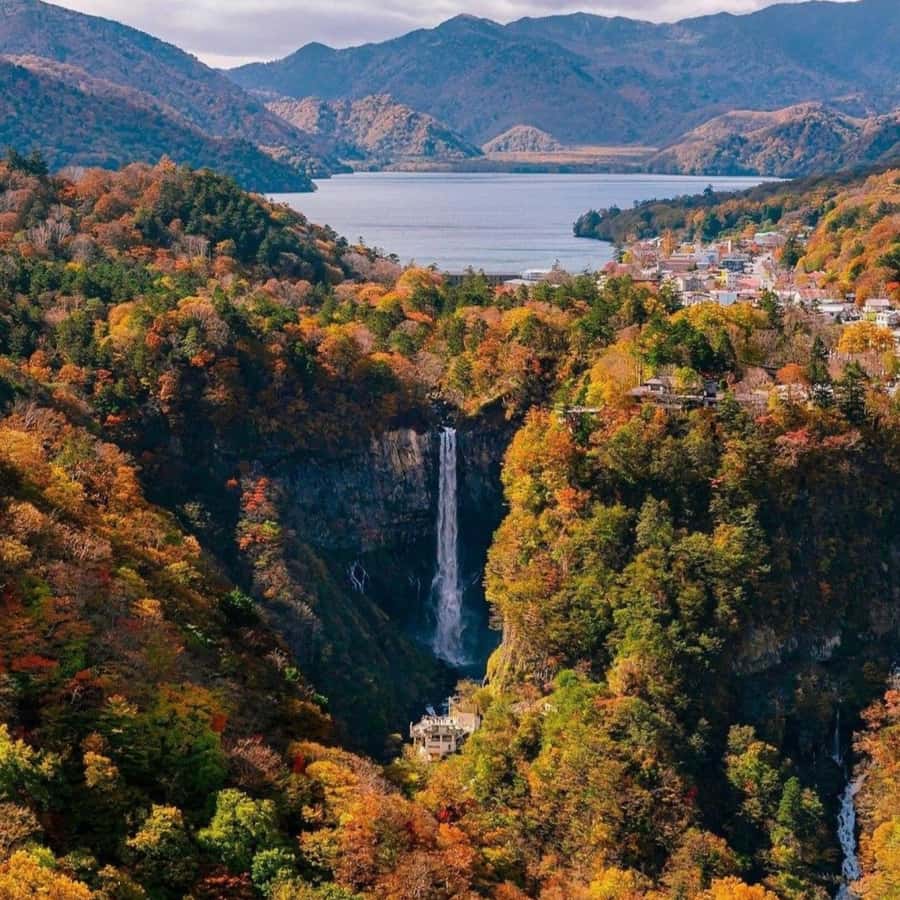 Tokyo: Nikko Beautiful Full Day Personal And Private Tour - Good To Know