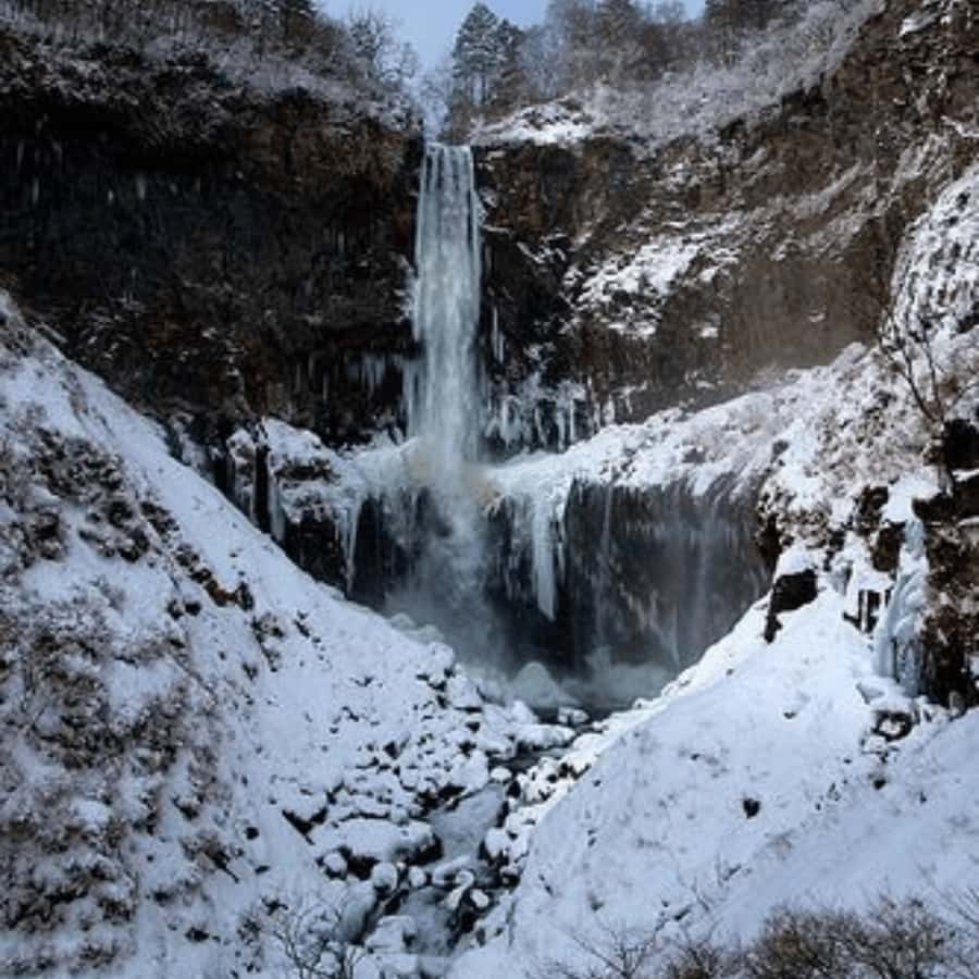 Tokyo: Nikko Beautiful Full Day Personal And Private Tour - Final Thoughts