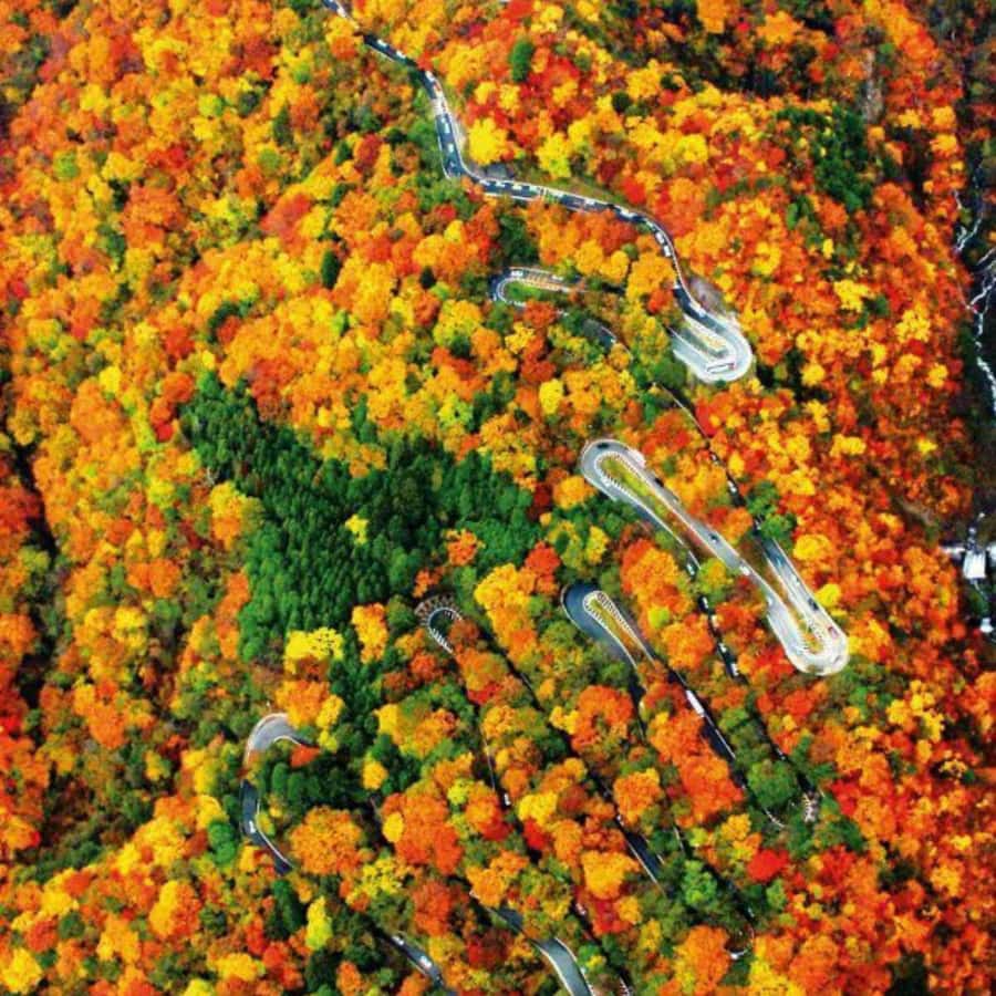 Tokyo: Nikko Beautiful Full Day Personal And Private Tour - FAQs