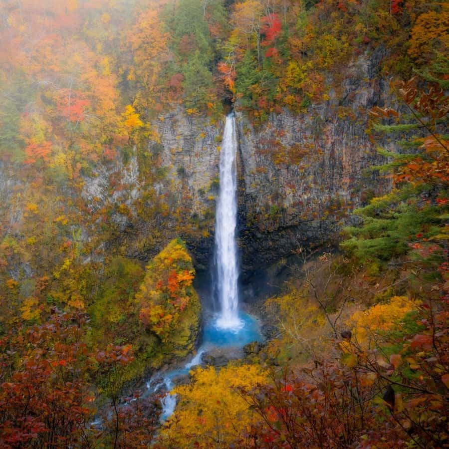 Tokyo: Nikko Beautiful Full Day Personal And Private Tour - Who Would Love This Tour