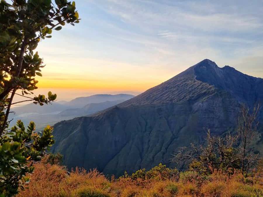 Trekking mount rinjani gren summit 2 days tour - Who Will Love This Experience?