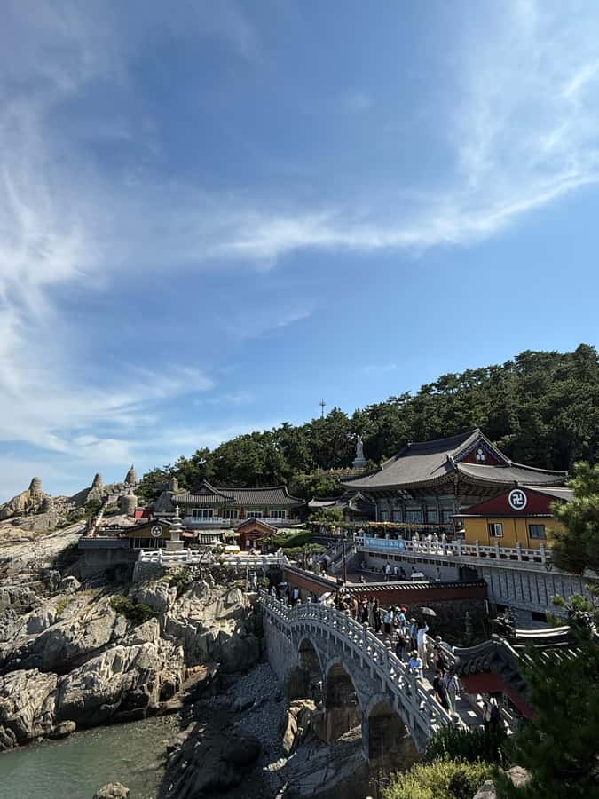 Busan: Haedong Yonggungsa Temple &Fishing Village Tour - An In-Depth Review of the Busan Coastal Tour