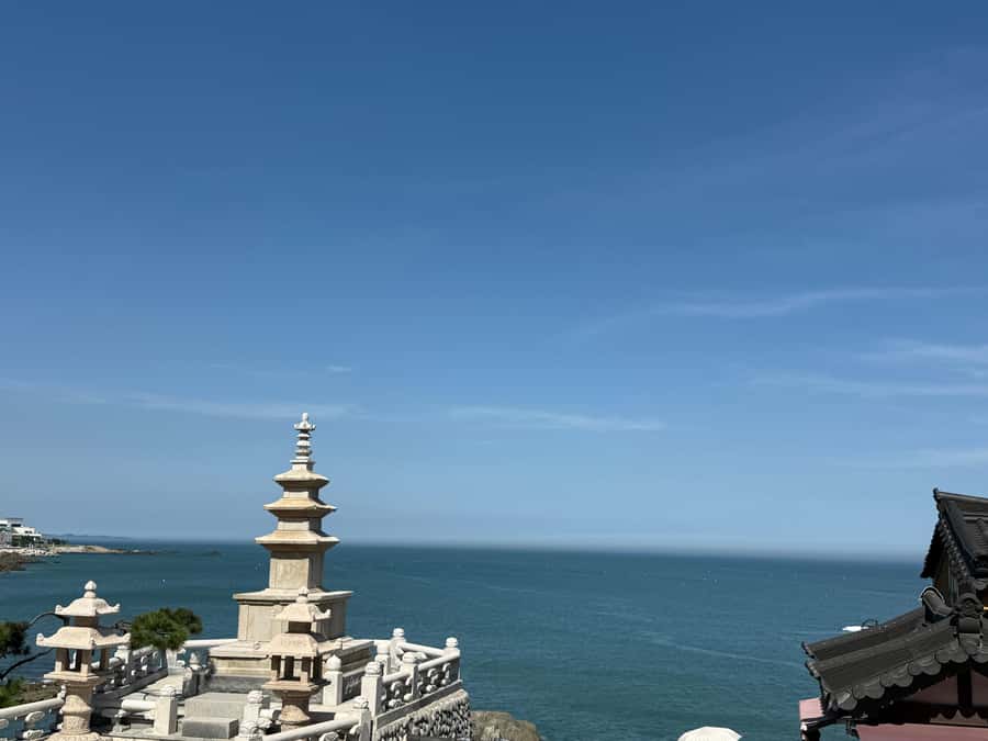 Busan: Haedong Yonggungsa Temple &Fishing Village Tour - Who Should Consider This Tour?