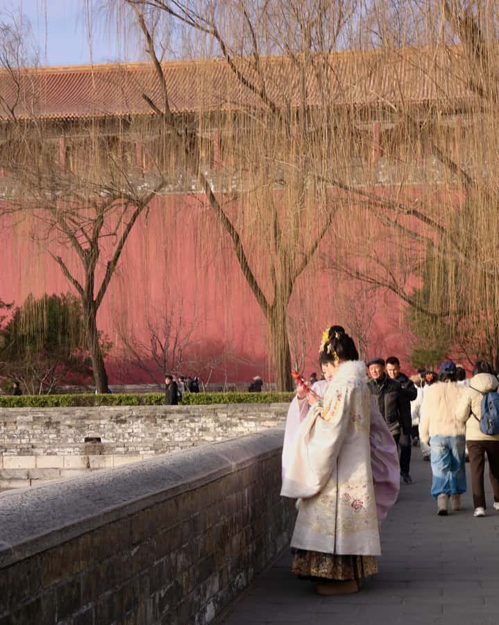 Forbidden City Ticket + 5-Language Audio Guide - The Experience at the Entrance