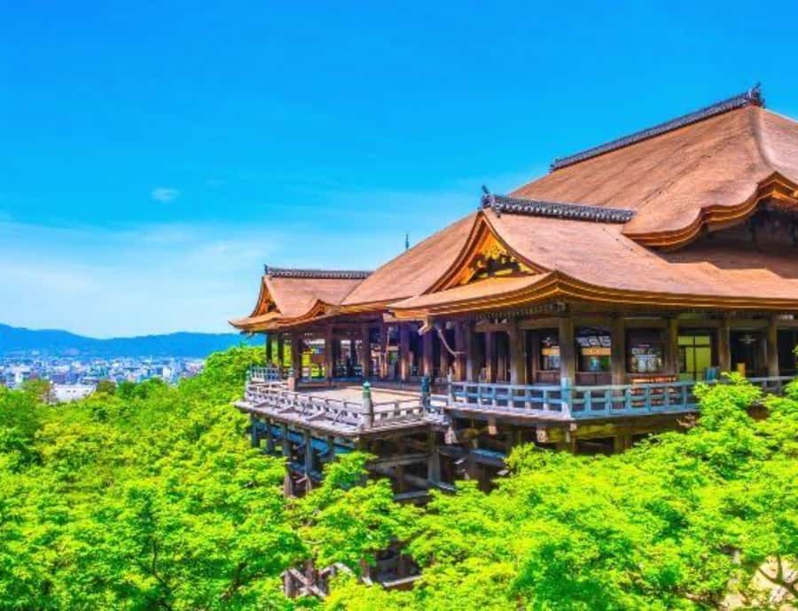 Kyoto Full Day Customizable Private Tour with English Guide - FAQs