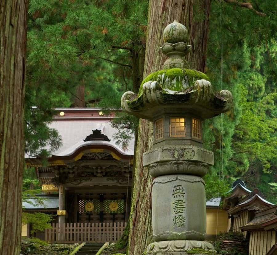 Osaka: Nagano Private Day Trip with English-Speaking Guide - Exploring Nagano’s Magic in a Day