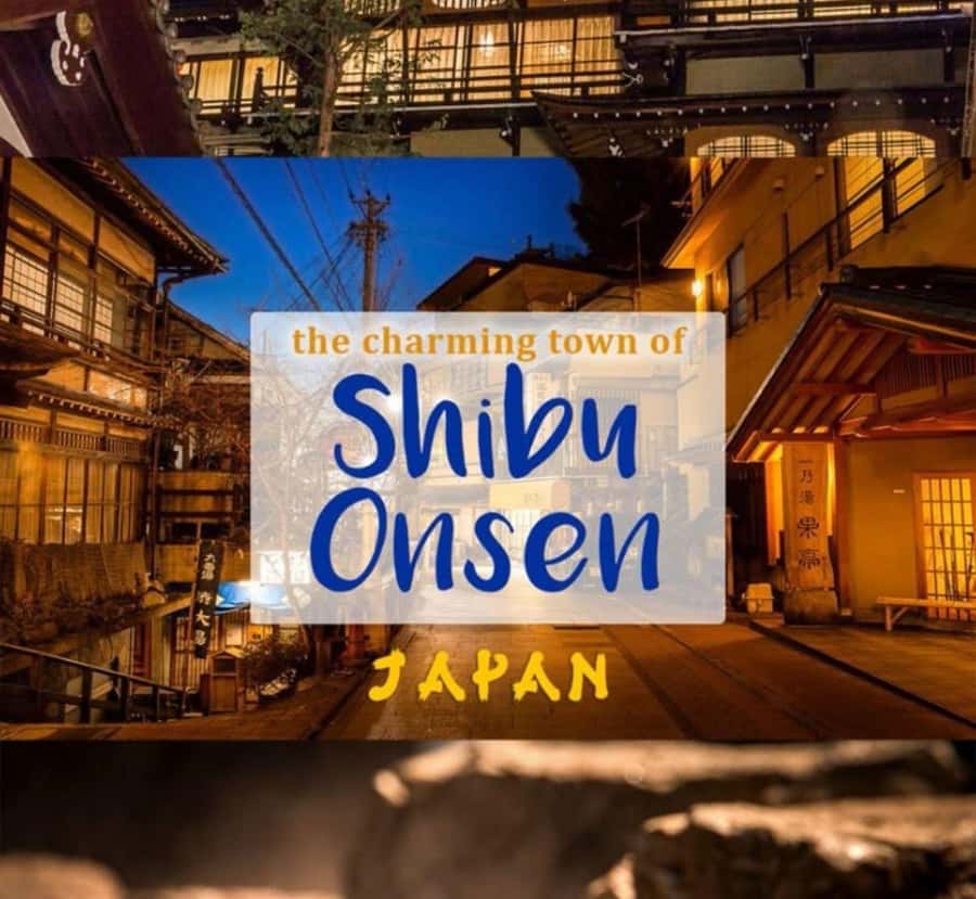 Osaka: Nagano Private Day Trip with English-Speaking Guide - Visiting the Snow Monkeys