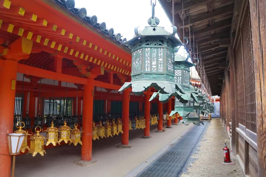 Nara Revealed: Ancient Temples, Sacred Deer & Local Stories - An Authentic Journey into Nara’s Heart