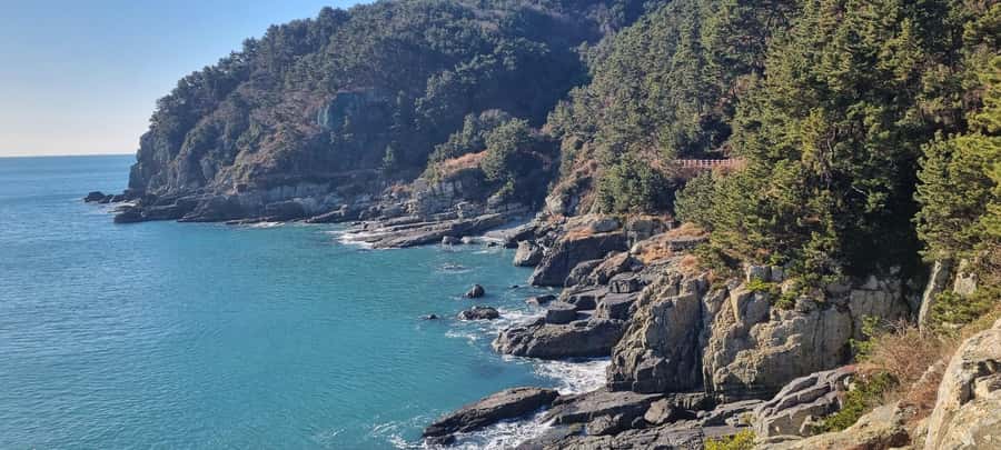 Busan Igidae Coastal Walk & Korean Pancake Experience - What to Expect from the Igidae Coastal Walk