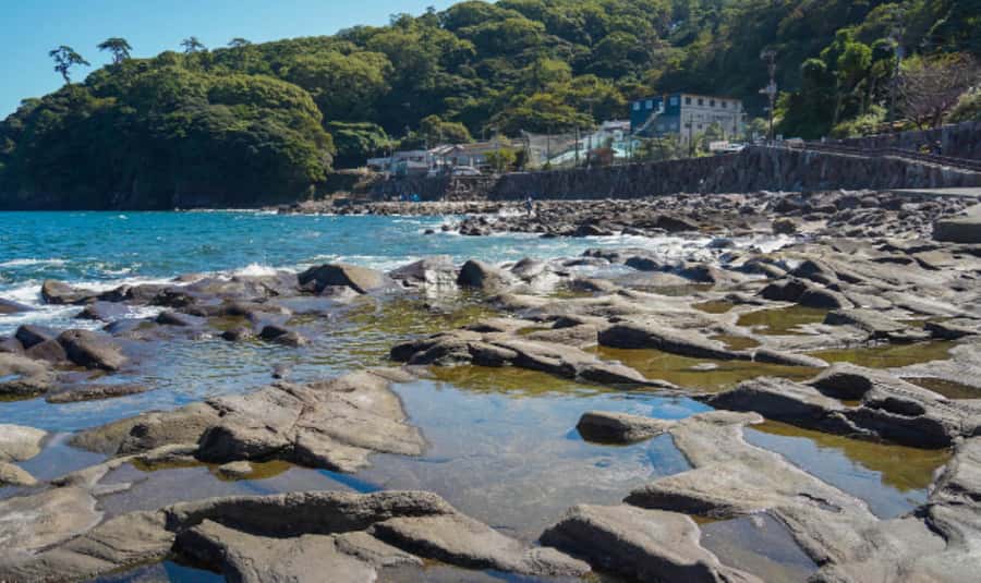 Tokyo: Gotemba Outlet Shopping Day Trip with Beer - What to Bring and Tips