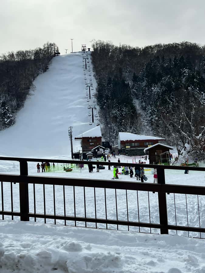 Tokyo: Snow Monkey & Nagano Customizable Private Day Tour - Who Would Love This Tour?