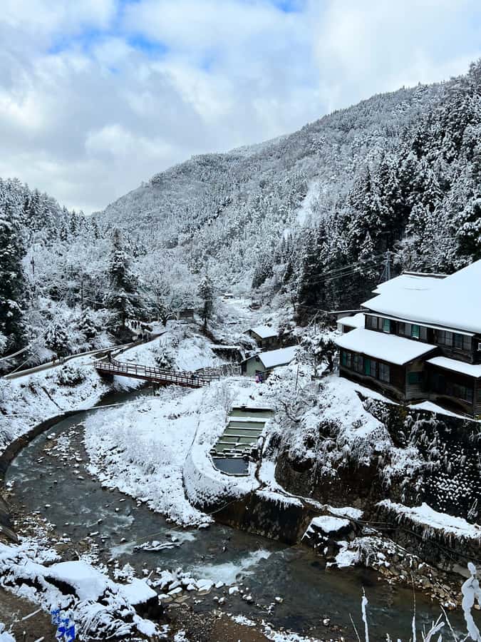 Tokyo: Snow Monkey & Nagano Customizable Private Day Tour - Good To Know