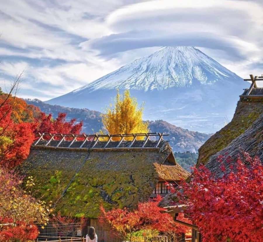 Shizuoka: Mount Fuji & Hakone Private Day Trip - An In-Depth Look at the Tour Experience
