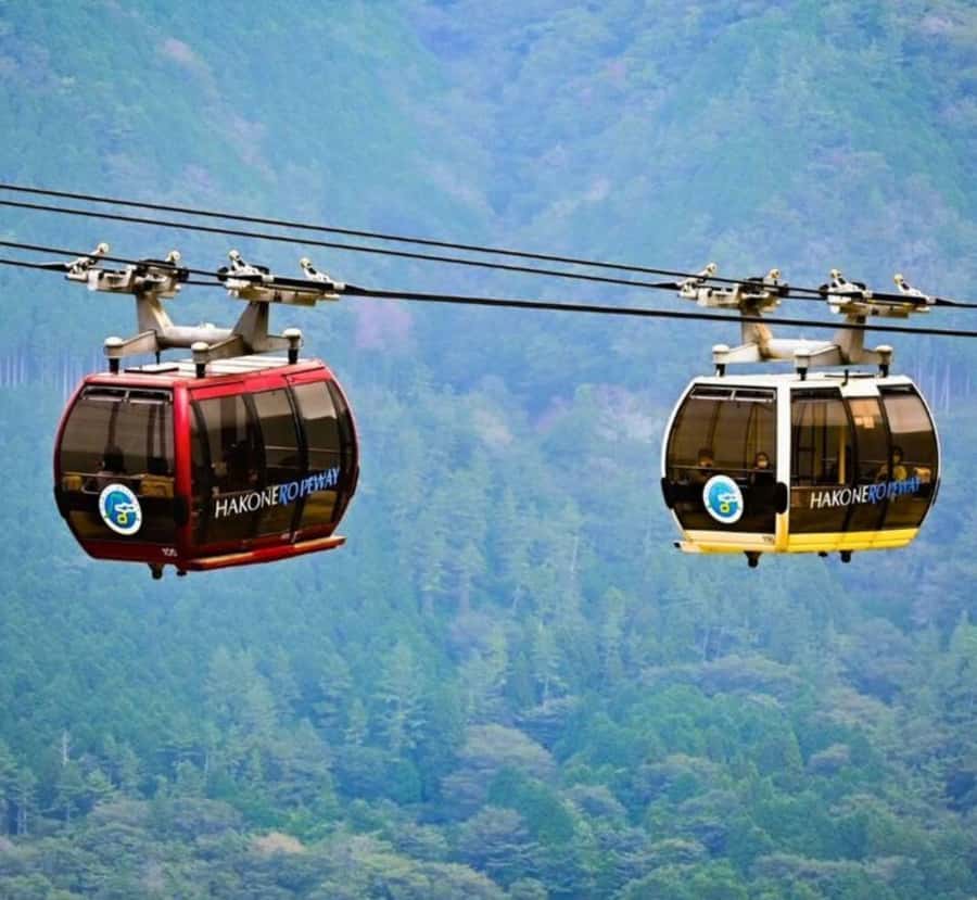 Shizuoka: Mount Fuji & Hakone Private Day Trip - Practical Tips for Making the Most of the Tour