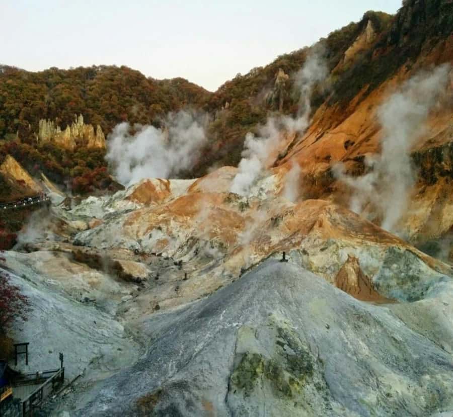 Shizuoka: Mount Fuji & Hakone Private Day Trip - FAQ