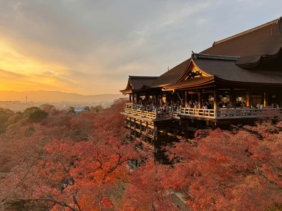 Kyoto: Signature Day Tour and Tea Ceremony with Your Vehicle - Who Would Enjoy This Tour?