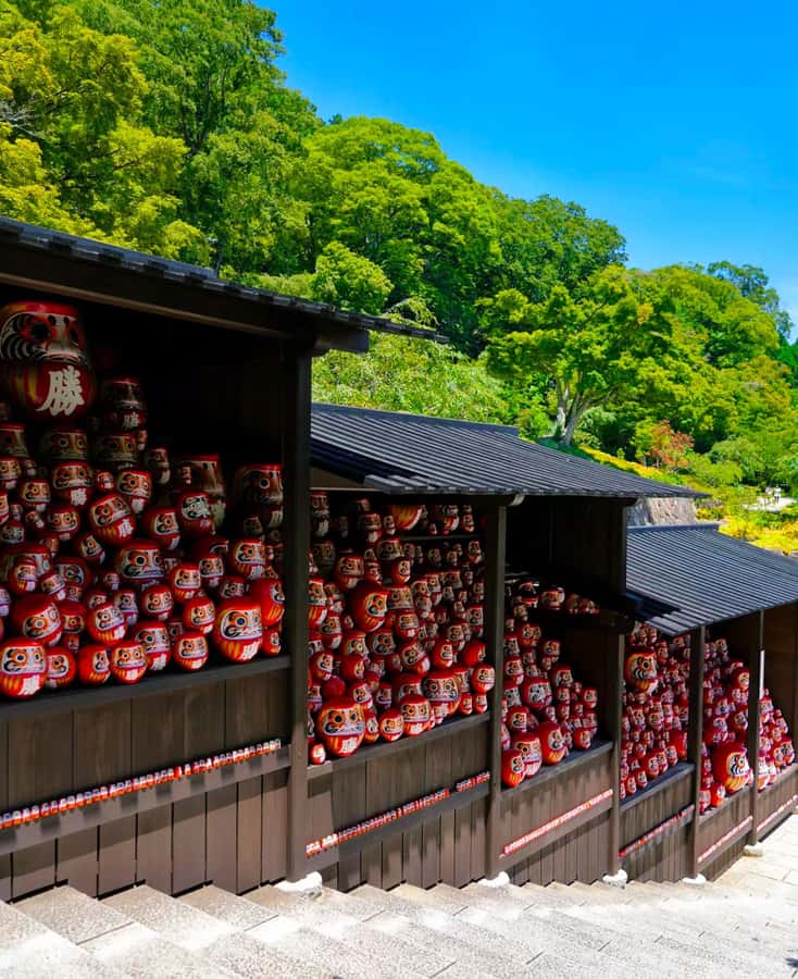 A Thousand Years in One Day: Kyoto & Nara Panoramic Tour - Exploring the "A Thousand Years in One Day" Tour: A Genuine Look at Kyoto & Nara