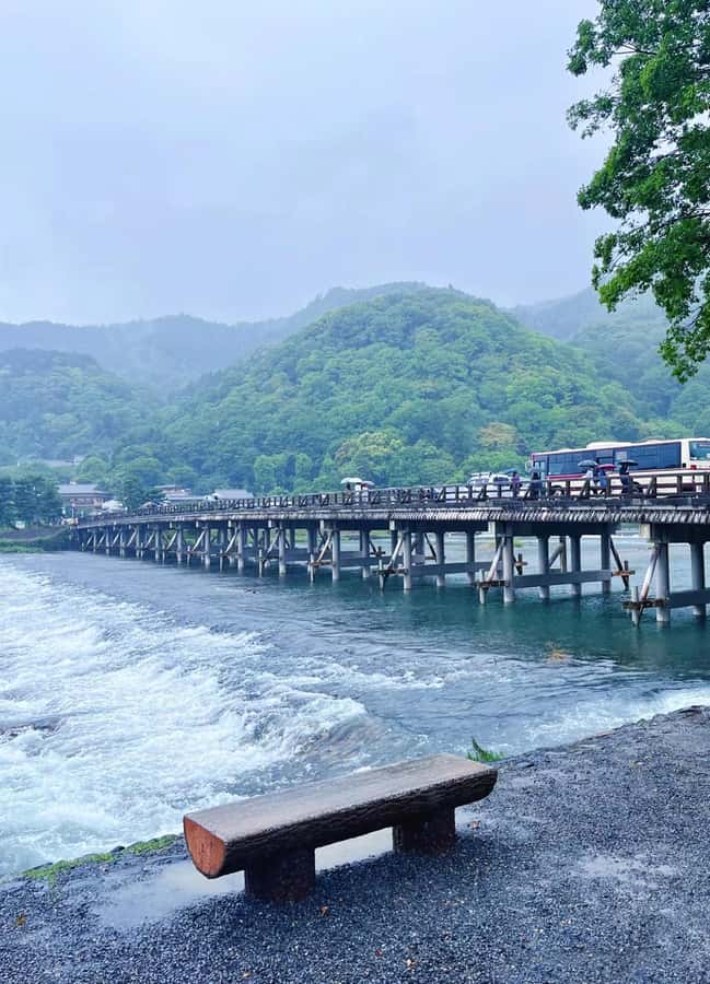 A Thousand Years in One Day: Kyoto & Nara Panoramic Tour - Who will enjoy this tour?