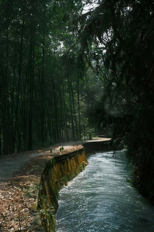 Shanghai: Fuchun River 2-Day Tour with Hike & Cruise - The Hiking Experience