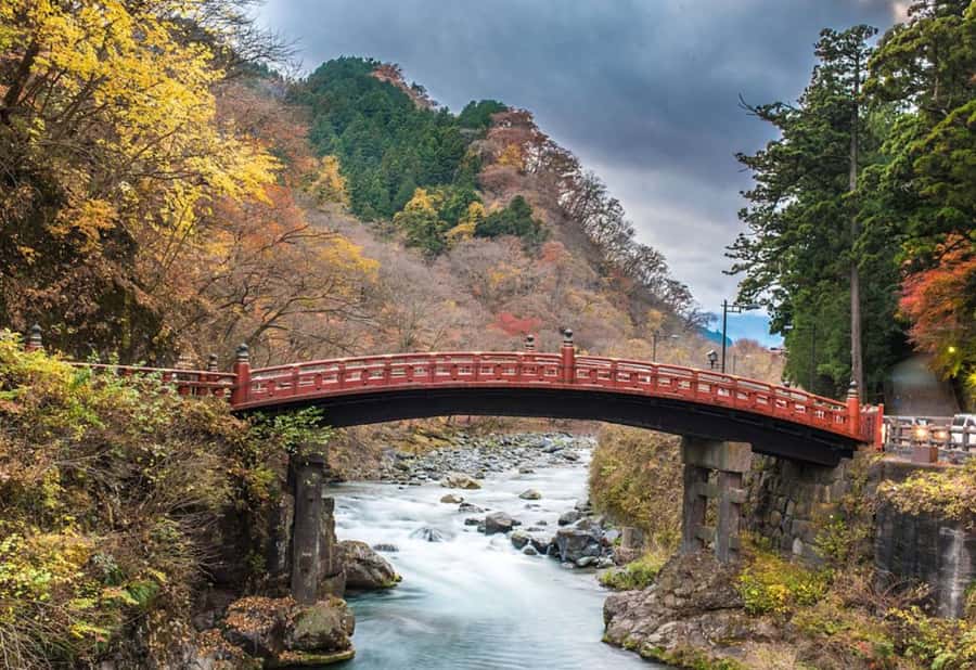 Tokyo : Nikko Private Tour with Customizable Itinerary&Guide - Practical Details and Experience
