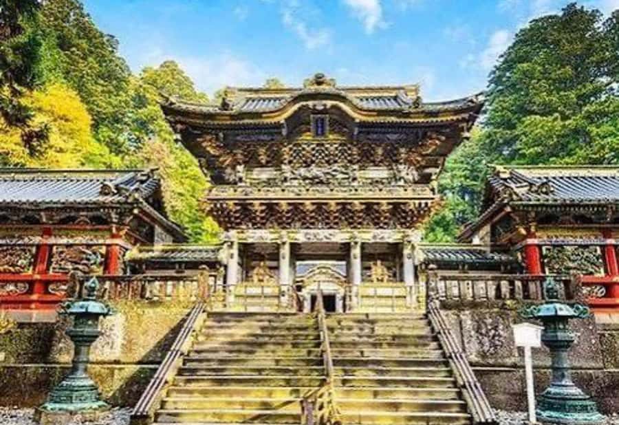 Tokyo : Nikko Private Tour with Customizable Itinerary&Guide - FAQ