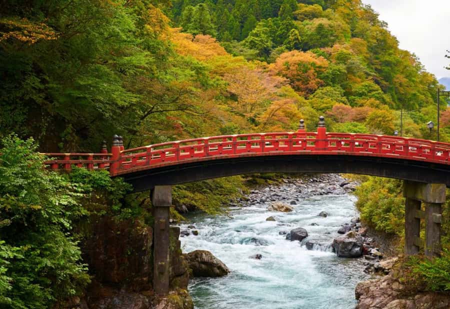 Tokyo : Nikko Private Tour with Customizable Itinerary&Guide - Who Will Love This Tour?