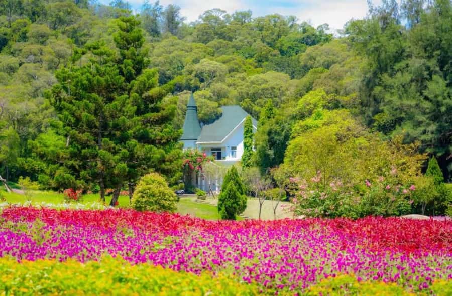 Xiamen In-Depth Day Tour: Mountains, Sea & Heritage - Exploring Xiamen: A Practical Breakdown