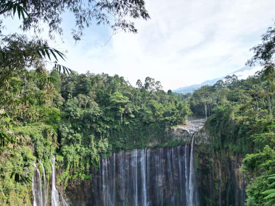 Malang: Bromo & Tumpak Sewu Shared Transfer & Tour - Discover the Magic of East Java: Bromo & Tumpak Sewu Shared Tour