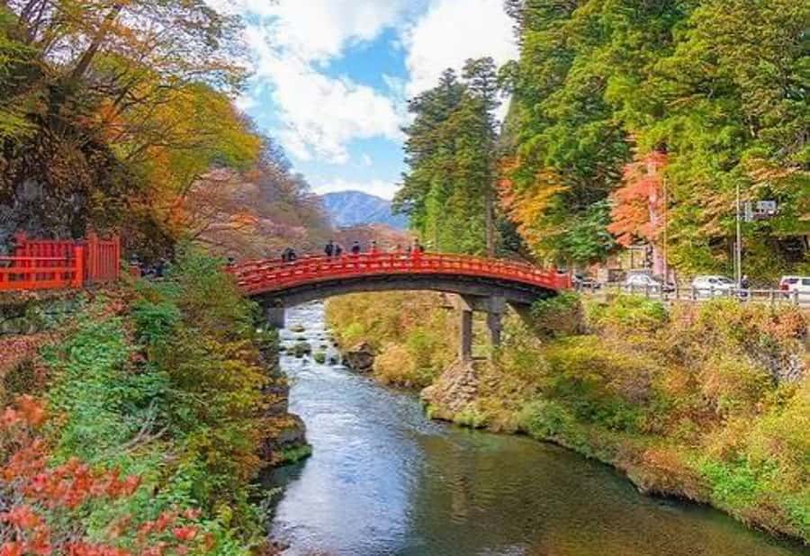 Tokyo: Nikko Private Customized Tour With Hotel Pick-up - What You Need to Know