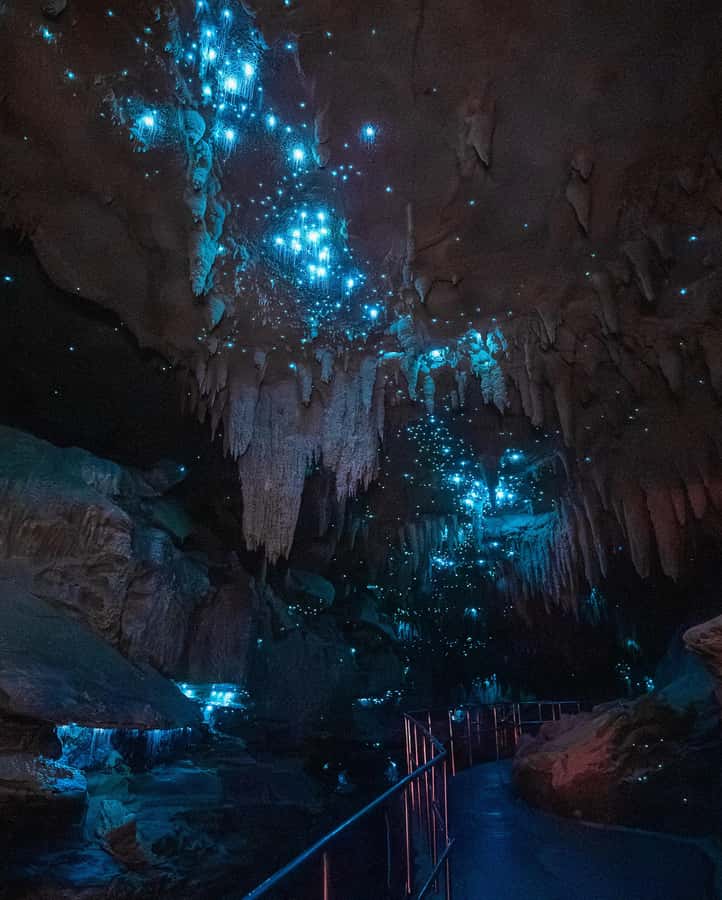 Northland Hidden Gems: Glowworm Cave, Beach & Art Café - Final Thoughts