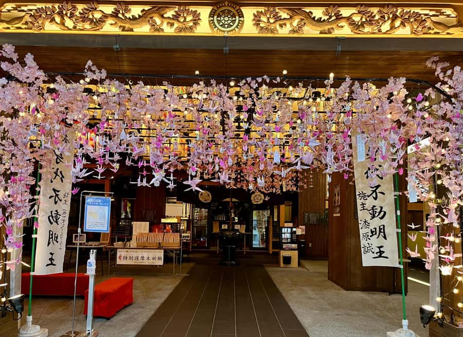 Nagoya Sakura Tour - Good To Know